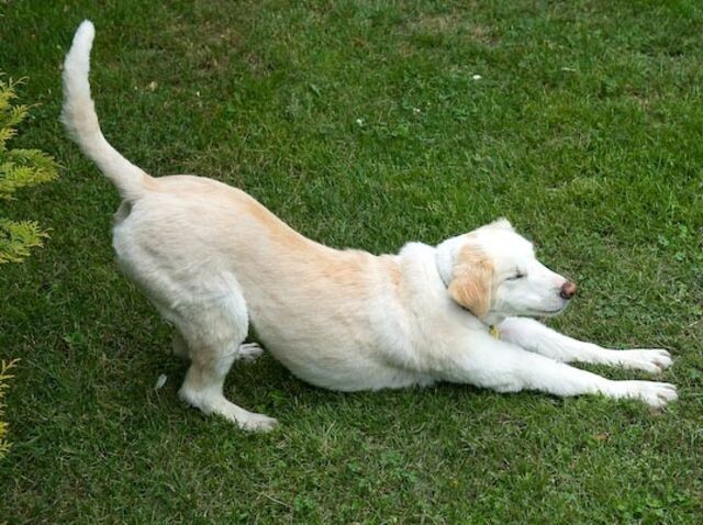 истосточник фото: https://i.pinimg.com/736x/d2/a4/a1/d2a4a1de4cfa937ad0137f237333afa0.jpg