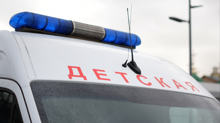    Фото: ИЗВЕСТИЯ/Эдуард Корниенко; 5-tv.ru