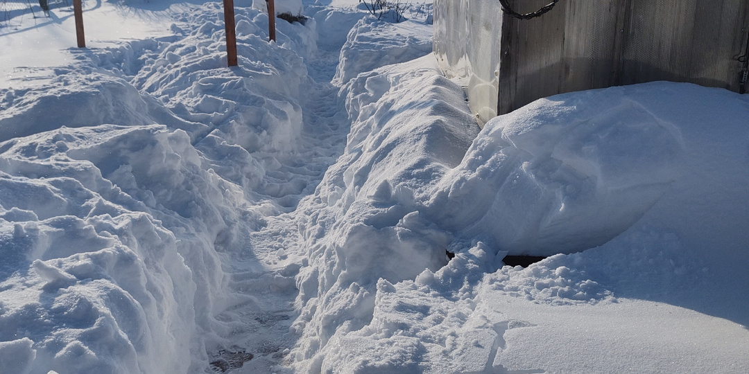 Пролетели не заметно, выходные дни.