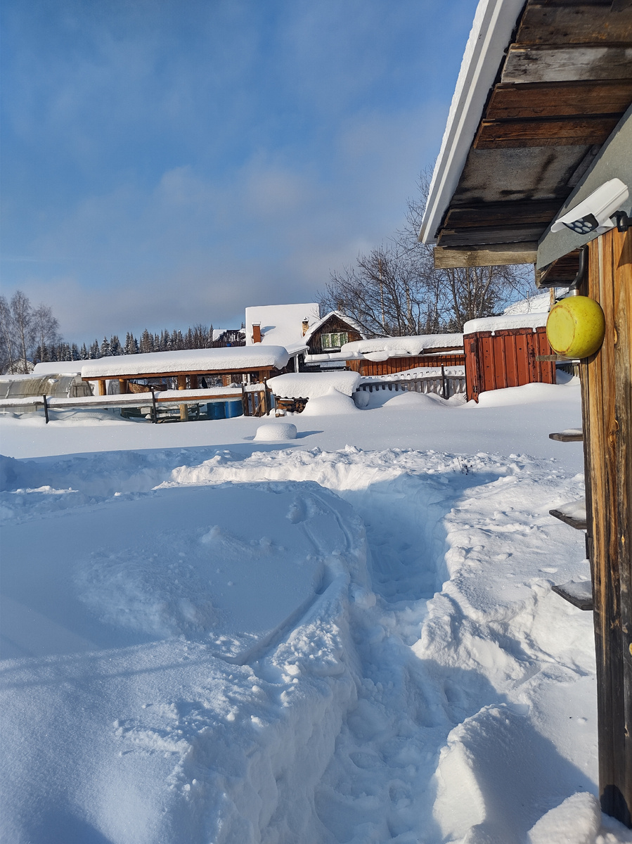 Фото автора 