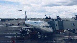    Элина Болдырева Юлия Виноградова