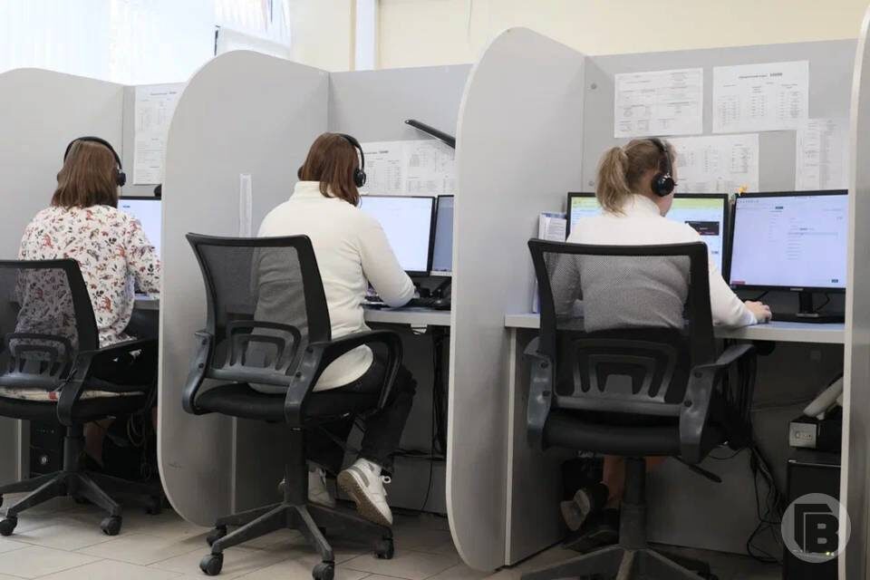    Фото: Дмитрий Рогулин / "Городские вести"