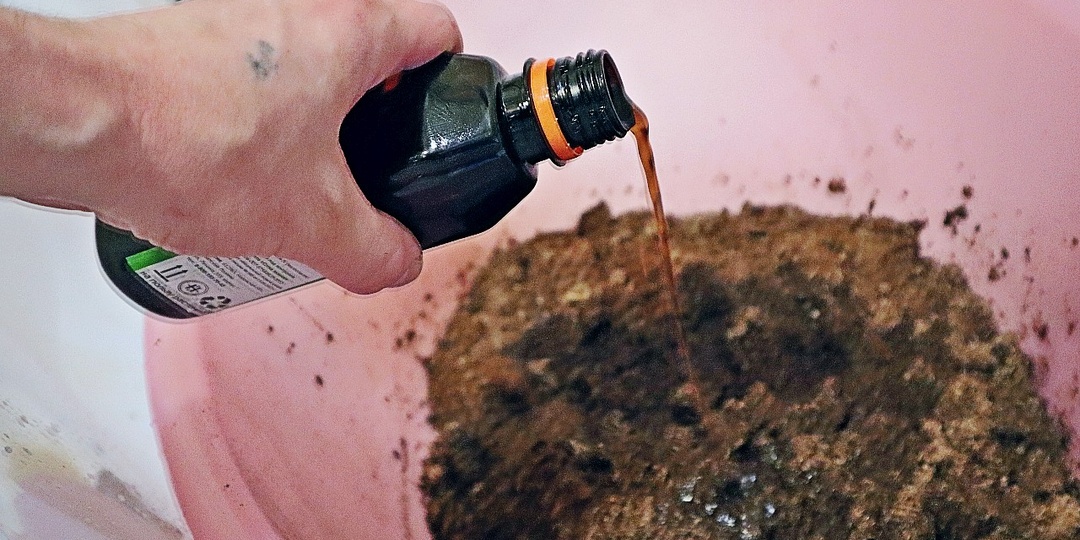 7 проверенных способов обеззаразить грунт перед посадкой помидор, перца на рассаду для крепких растений.