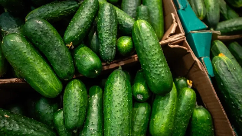    телеканал "Санкт-Петербург" / АО "ГАТР"