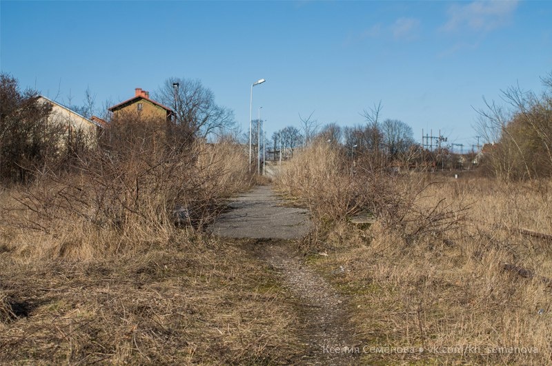 Остатки ж/дороги Янтарный- Светлогорск