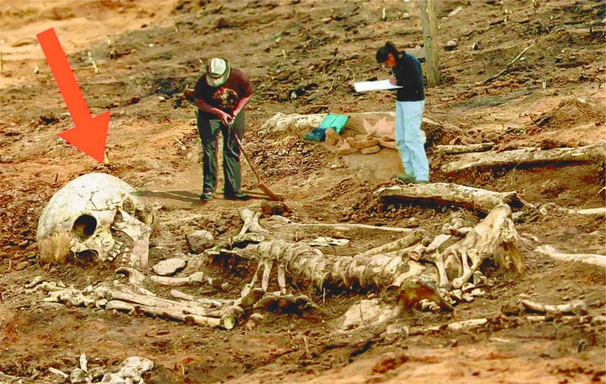 Великаны прошлого: миф или реальность? Фото из интернета.