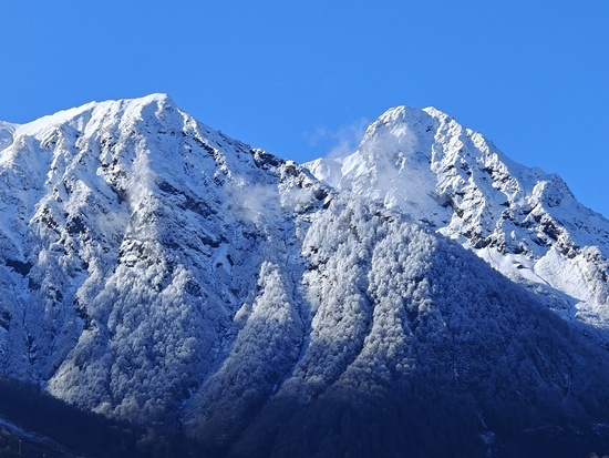   Фото: Юрий Серебренников/BFM Кубань