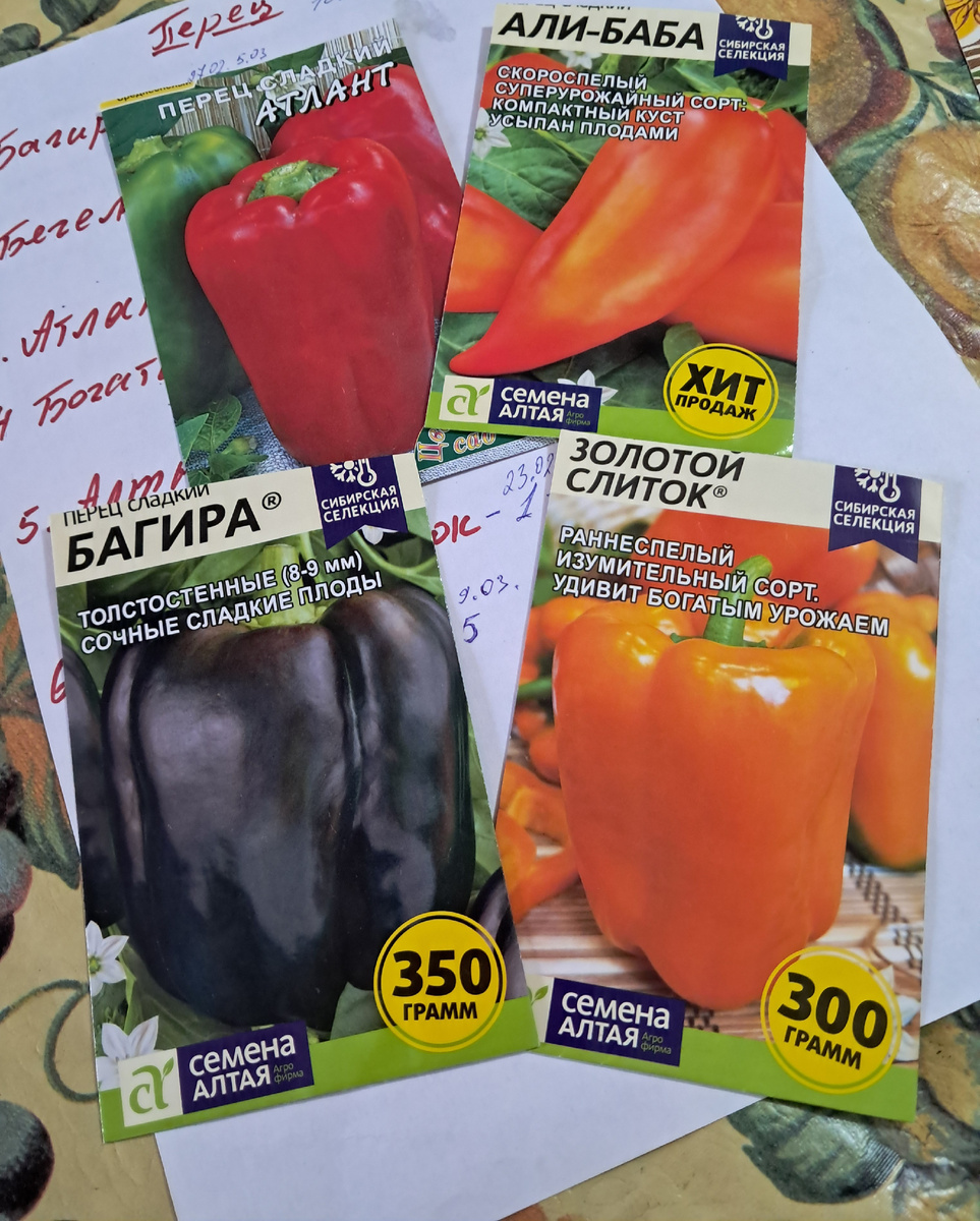 фото Ауры -автора канала