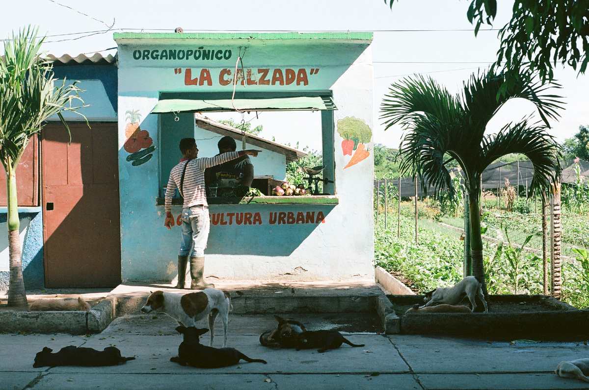 Источник: sagemagazine.org