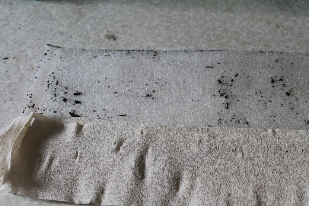  Раскладываем семена на туалетной бумаге