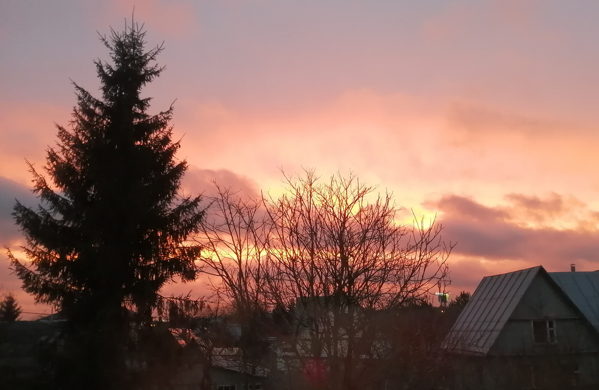 Моя деревня