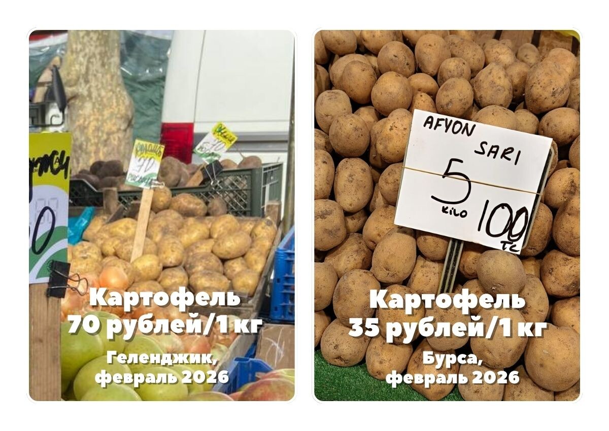 "Фотодоказательства" в карусели