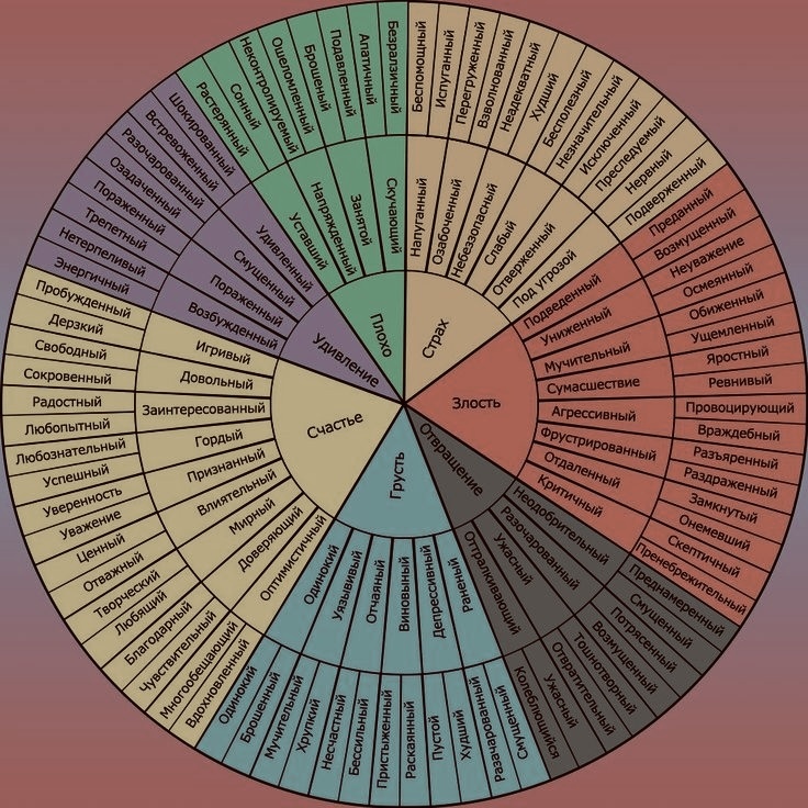 Фото взято со свободного источника в Интернете.