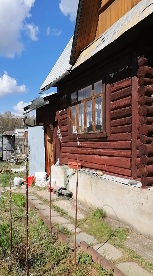 Бордюры разъехались и образовались большие щели, в которых росло много травы.