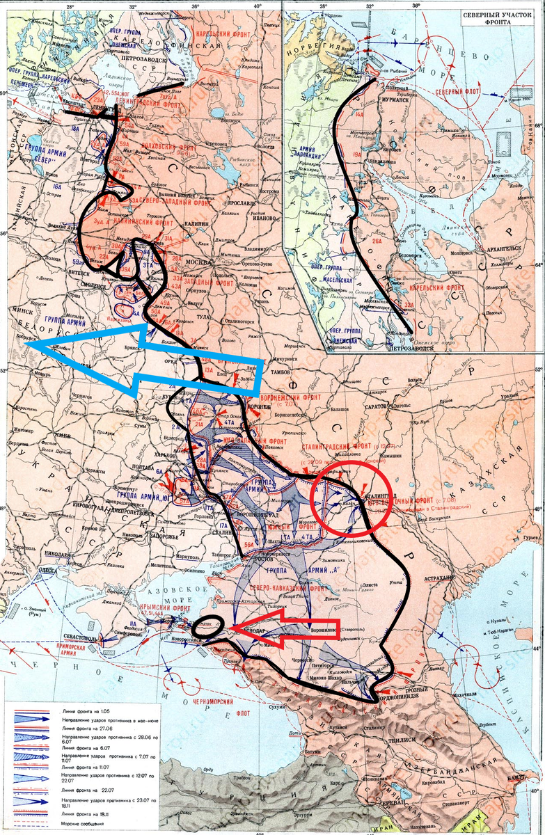 (Фото взято из открытых источников).