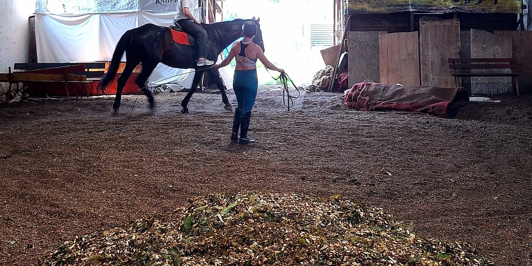 Где в Калининграде экономно покататься верхом?