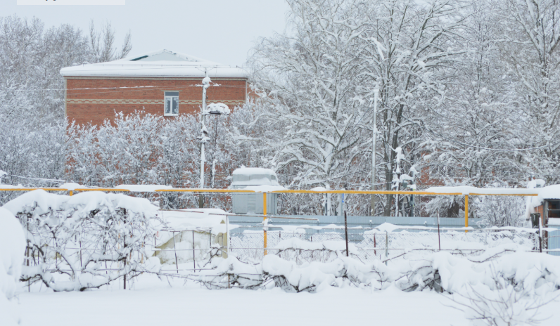 Фото автора. 16.01.2026. Станица.