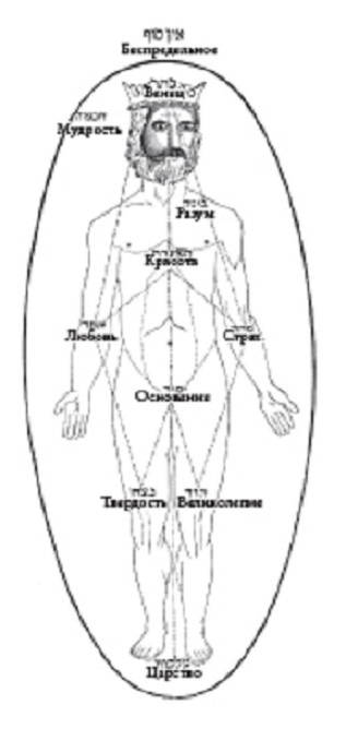 Адам Кадмон и Древо Жизни