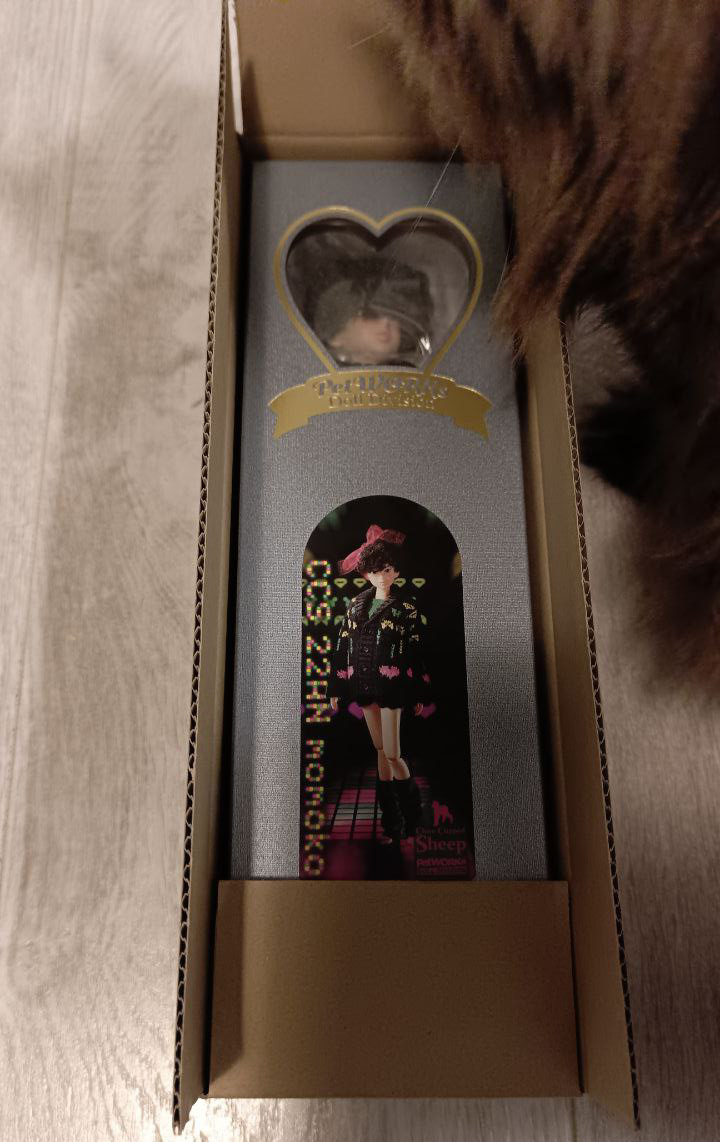 Распаковываем новенькую вместе с кошкой