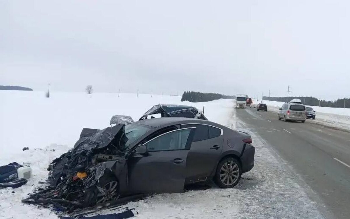    Два водителя погибли в ДТП на федеральной трассе в Удмуртии