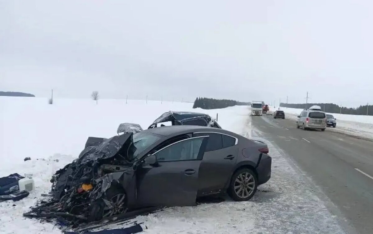    Два водителя погибли в ДТП на федеральной трассе в Удмуртии