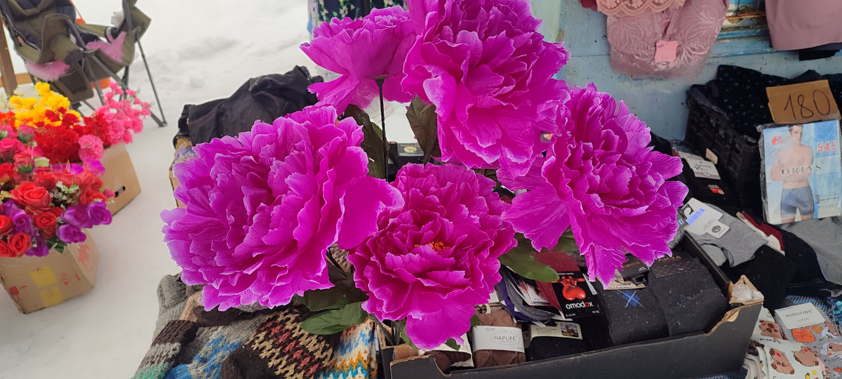 Он огромный