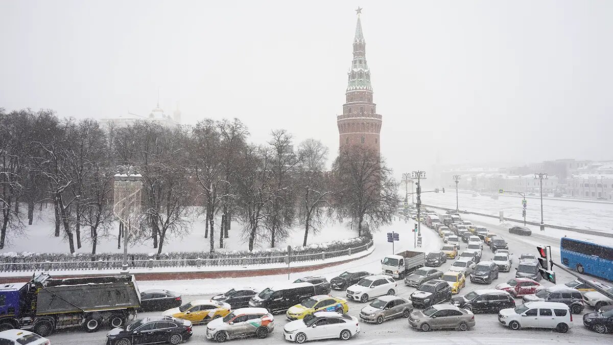    Фото: vm.ru Виктор Павлов