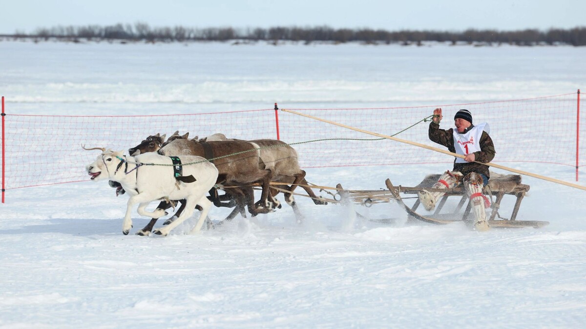    Фото: Андрей Ткачев/«Ямал-Медиа»