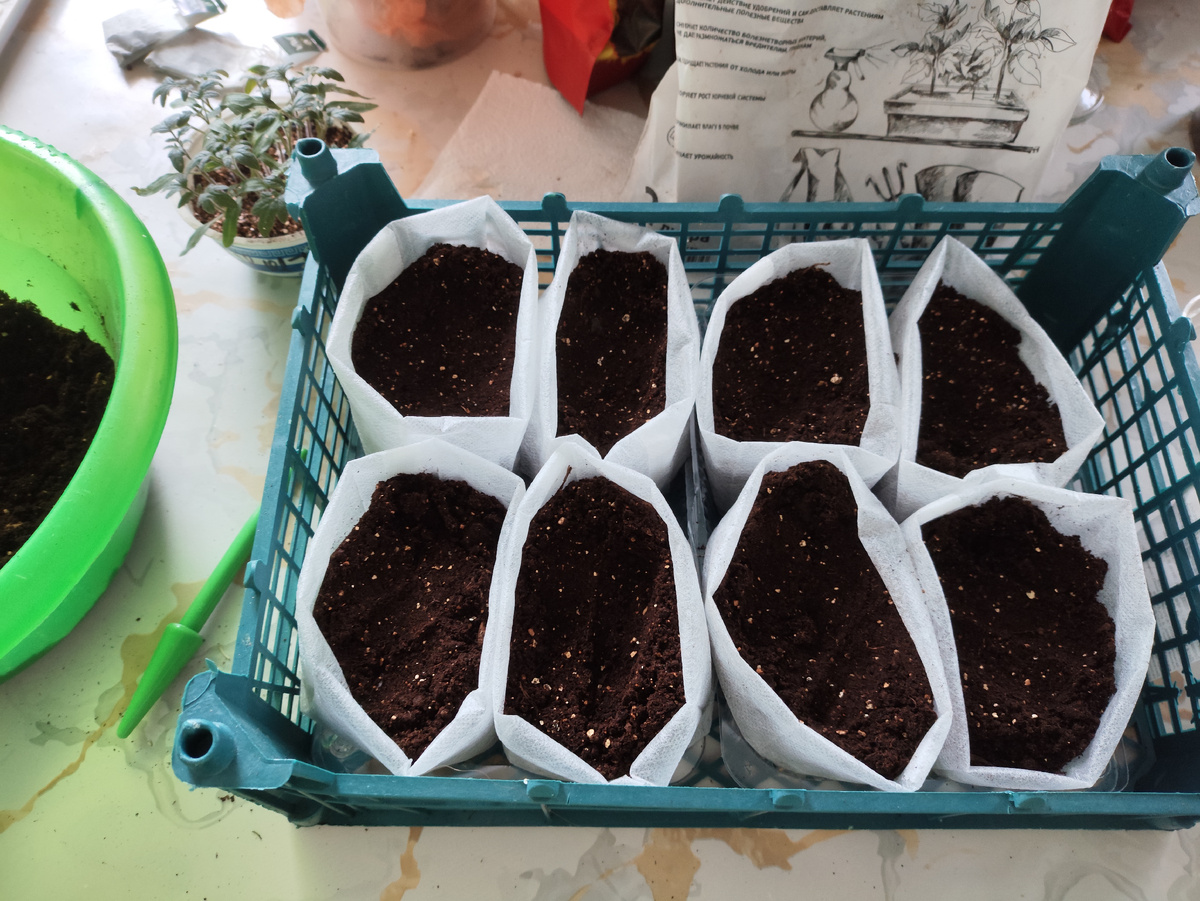 В него всего восемь больших мешочков поместилось.