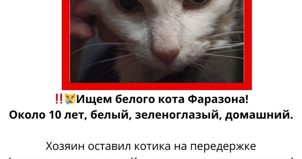 Это не пристрой, но я верю в правило пяти рукопожатий и вдруг найдётся малыш