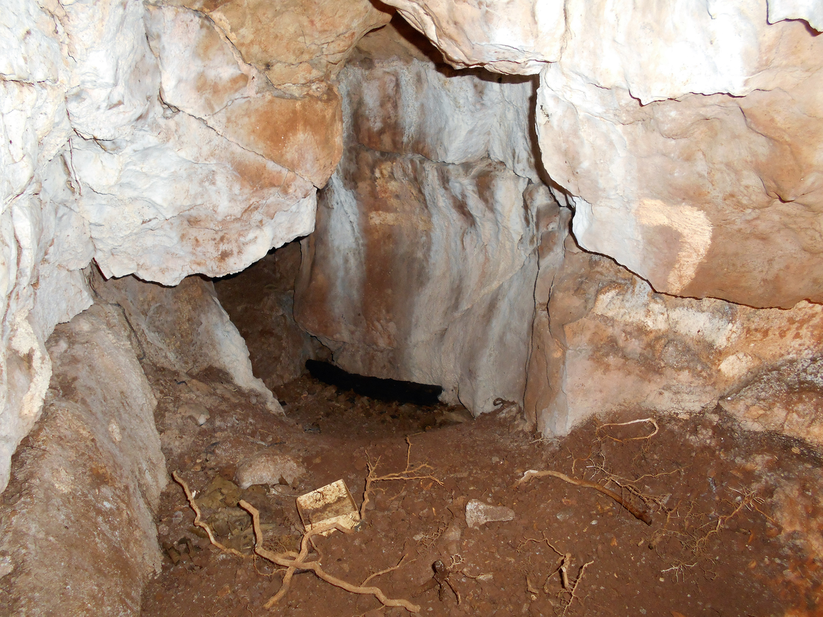    Место обнаружения древних останков.