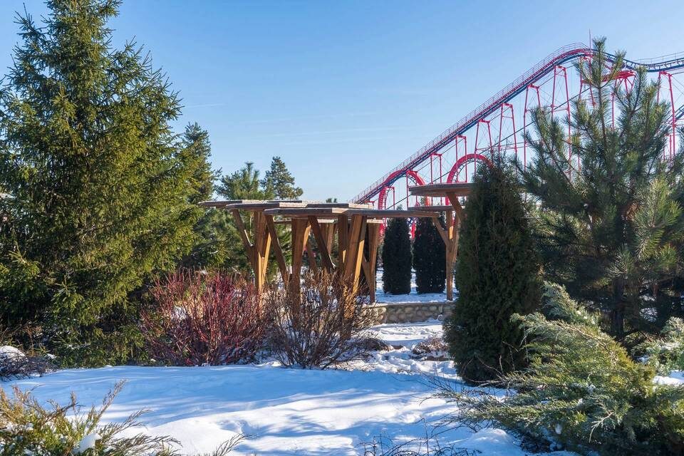    Фото: Волгоградский ЦПКиО