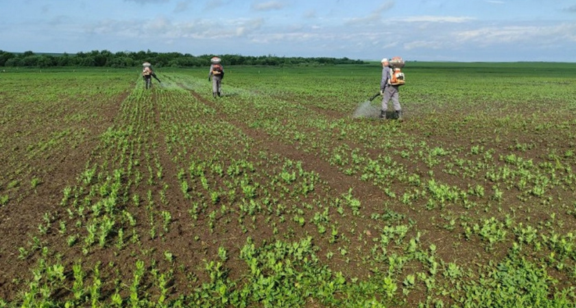     Россельхозцентр Владимир, Иваново, Ярославль