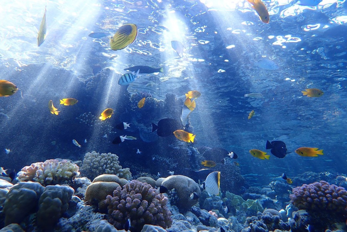 автор фото: Александр @Alexspeedy1967