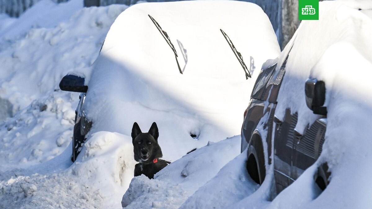    Фото: РИА Новости © 2026, Юрий Кочетков