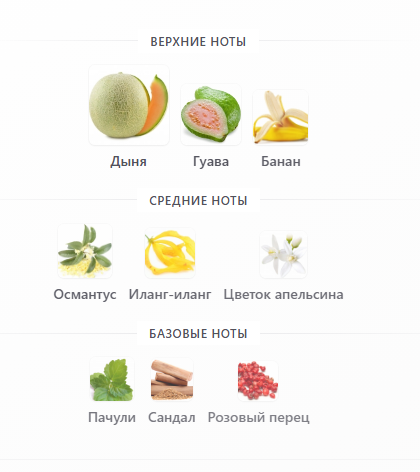 Пирамида с fragrantica.ru