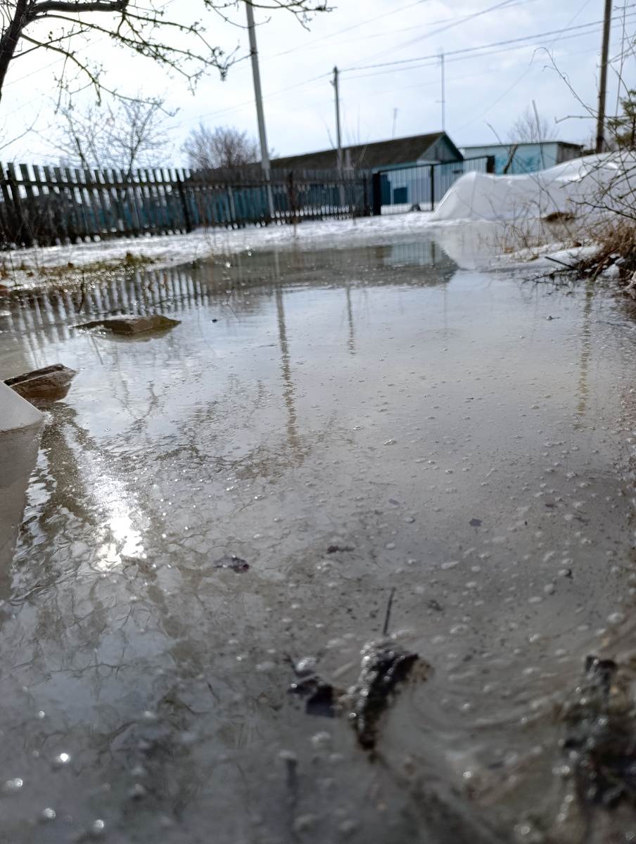 Вот так у нас за окном 15 февраля 2026 года.