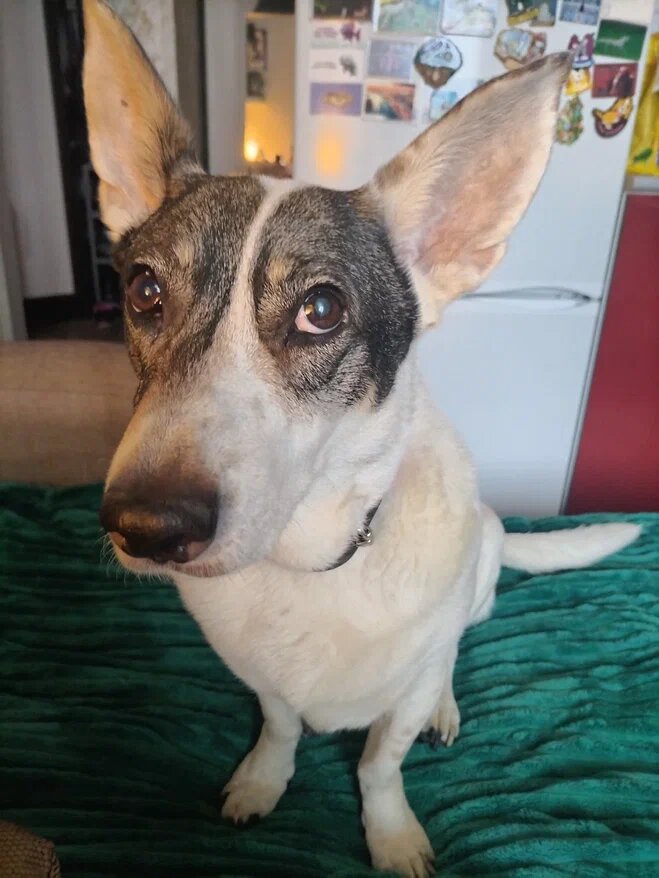 Зефирушка....