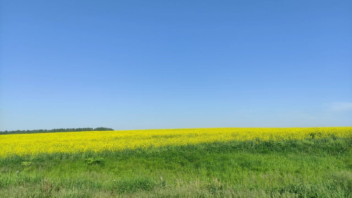 фото из личного архива