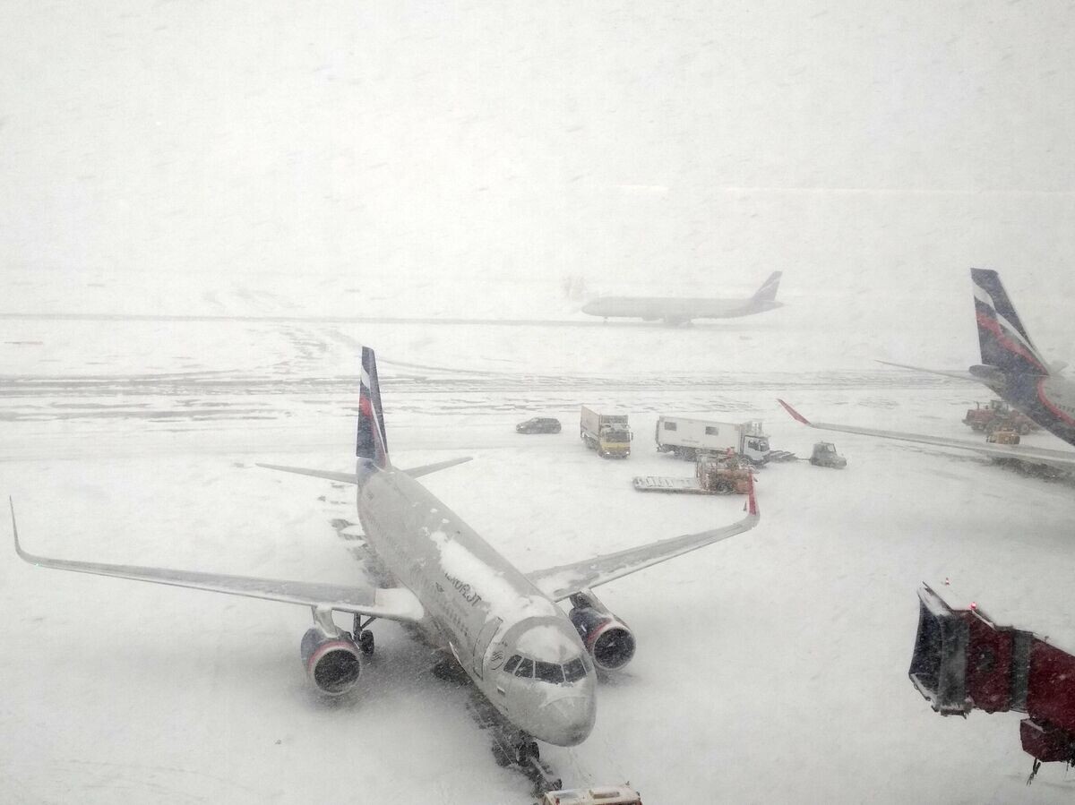    Самолеты в аэропорту "Шереметьево" | © РИА Новости / Григорий Сысоев