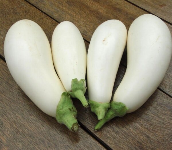 Белые баклажаны Снежок — нежность вкуса и минимальное количество семян