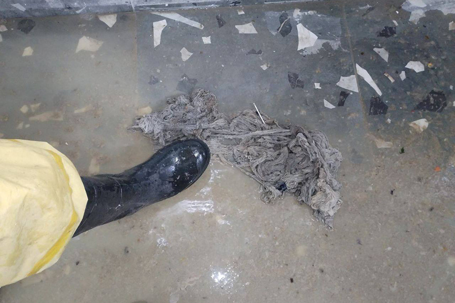    Фото: администрация Октябрьского района / Telegram