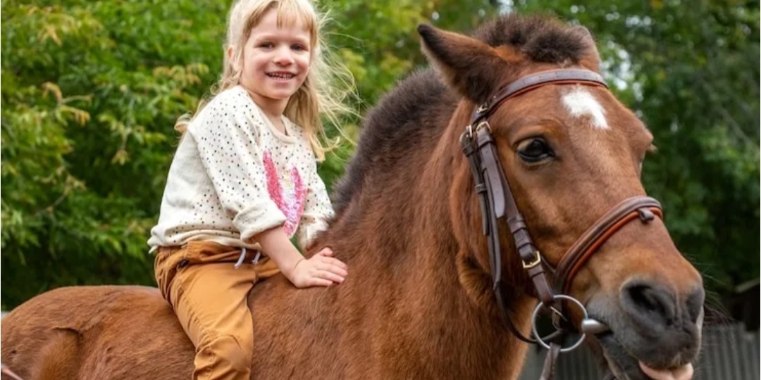 Девочка Аня спасла лошадиную ферму. А лошадь Ветер поставил её на ноги после аварии
