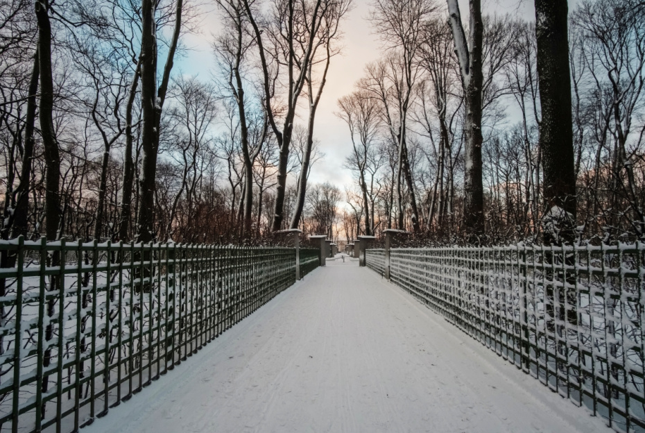   Алексей Даничев/РИА Новости