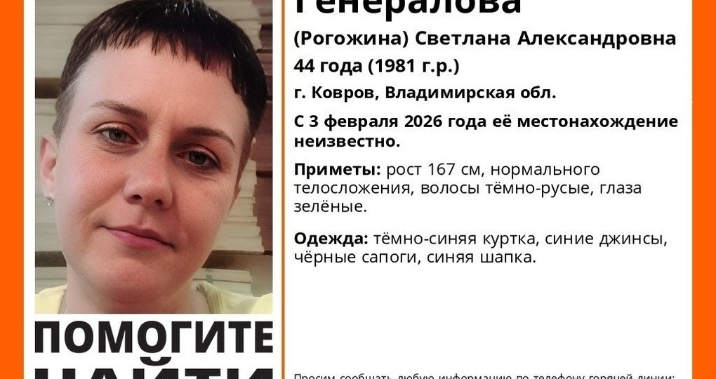 Молодая женщина бесследно пропала во Владимирской области