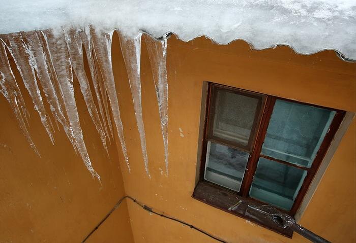 Обложка © ТАСС / Александр Рюмин