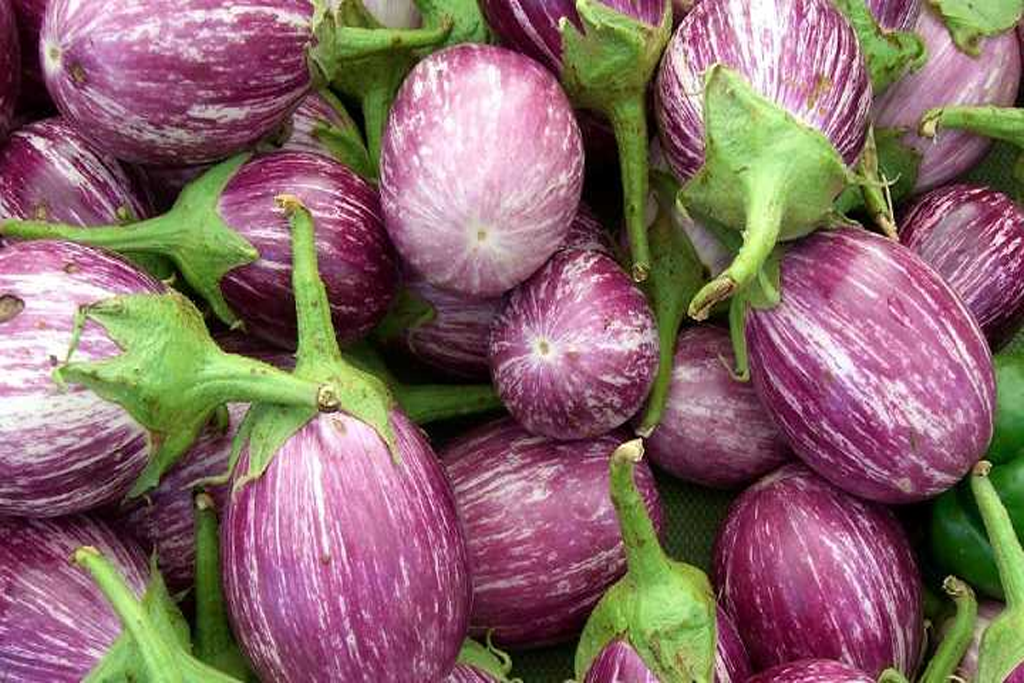 Баклажан Матросик — полосы как фирменный стиль и нежный вкус