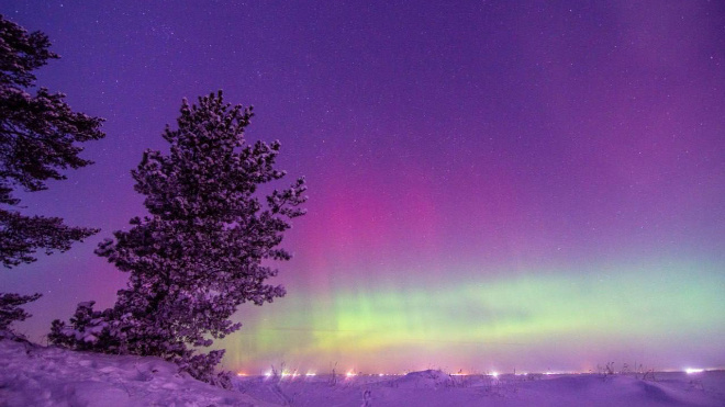 Фото: Телеграм-канал "Питер 360°"