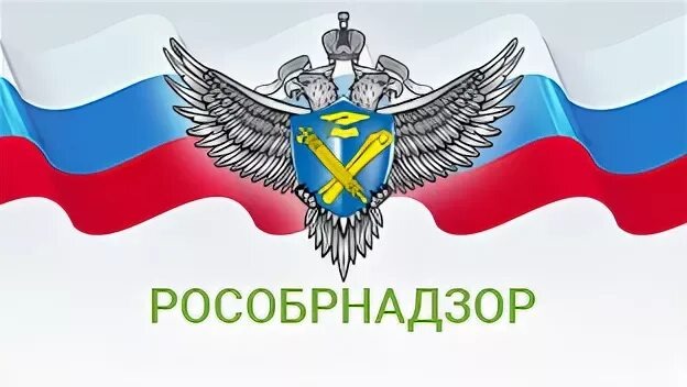 Образовательная лицензия - это документ, который наделяет бизнес правом заниматься образованием детей. Выдает лицензию государство, а именно - Рособрнадзор. 