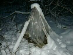 Шалаш, построенный Игорем, где он погиб